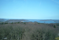 Klicken Sie auf das Bild, um es vergr��ert zu betrachten.