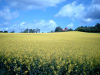 Klicken Sie auf das Bild, um es vergr��ert zu betrachten.